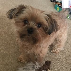 Meet your Posher, Candis